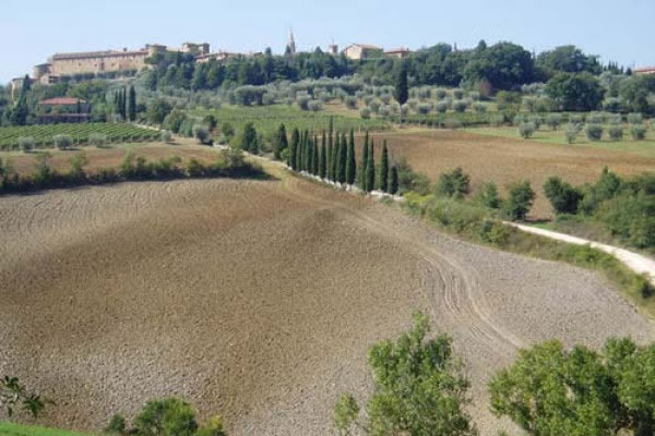 Val d'Orcia